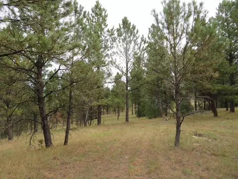 tbd Lot 34b Hombre Trl, Custer, SD 57730 photo 18