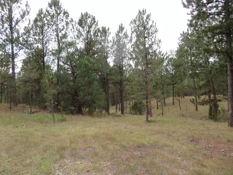 tbd Lot 34b Hombre Trl, Custer, SD 57730 photo 12