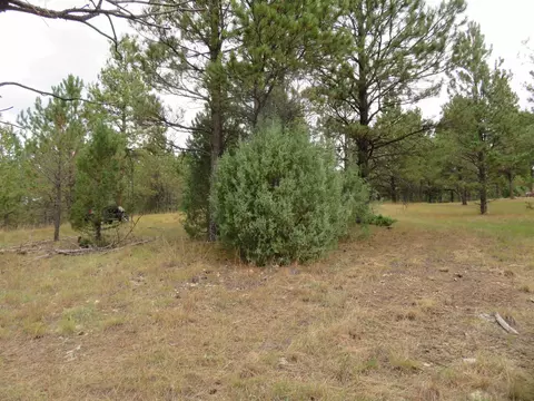 tbd Lot 34b Hombre Trl, Custer, SD 57730 photo 25