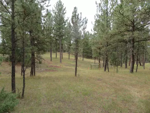 tbd Lot 34b Hombre Trl, Custer, SD 57730 photo 2