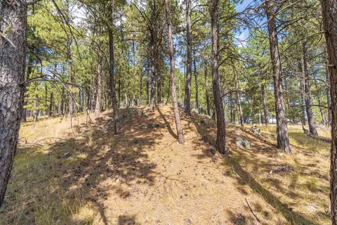 tbd Weaver Dr, Custer, SD 57730 photo 14