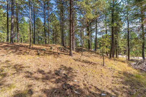 tbd Weaver Dr, Custer, SD 57730 photo 12