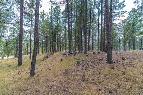 tbd Weaver Dr, Custer, SD 57730 photo 8
