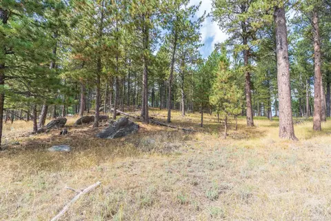 tbd Weaver Dr, Custer, SD 57730 photo 4