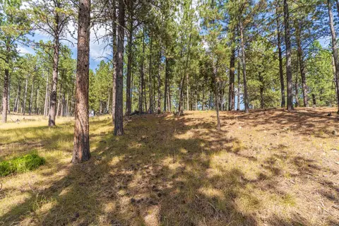 tbd Weaver Dr, Custer, SD 57730 photo 13