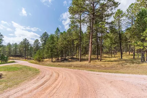 tbd Weaver Dr, Custer, SD 57730 photo 3