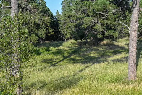 lot62 Valley View Cir, Spearfish, SD 57783 photo 22