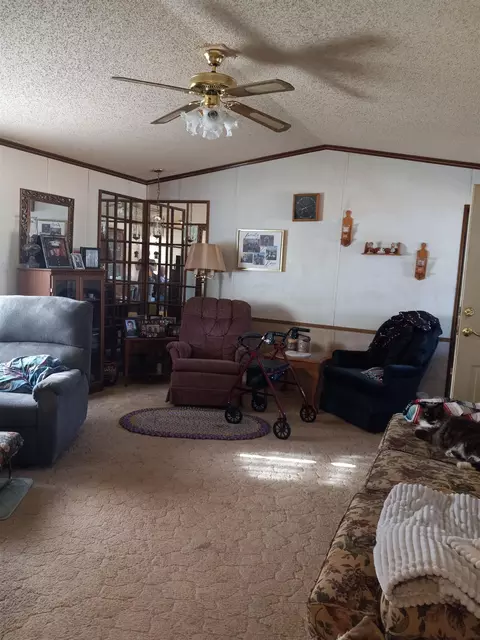 304 N 4th St, Buffalo Gap, SD 57722 photo 14