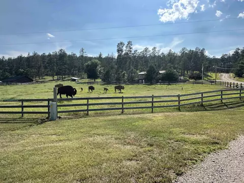 13621 Highway 40, Keystone, SD 57751 photo 33
