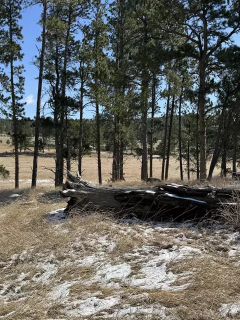 tbd 19 Danby Park Trl, Custer, SD 57730 photo 17
