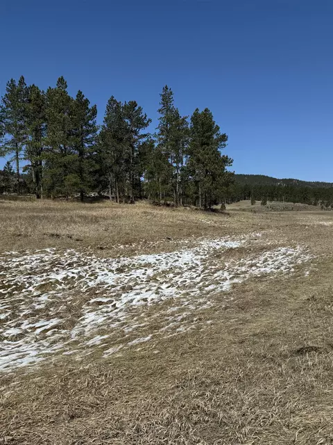 tbd 19 Danby Park Trl, Custer, SD 57730 photo 22