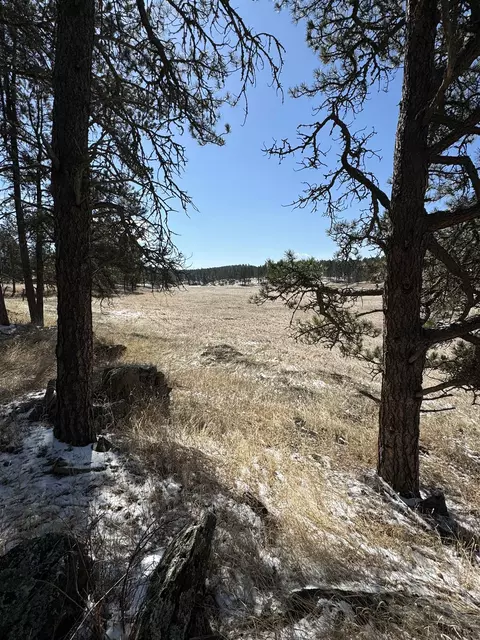 tbd 19 Danby Park Trl, Custer, SD 57730 photo 20