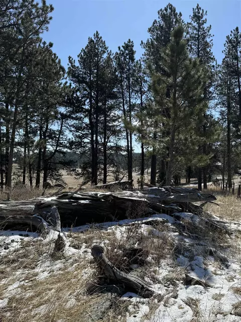 tbd 19 Danby Park Trl, Custer, SD 57730 photo 3