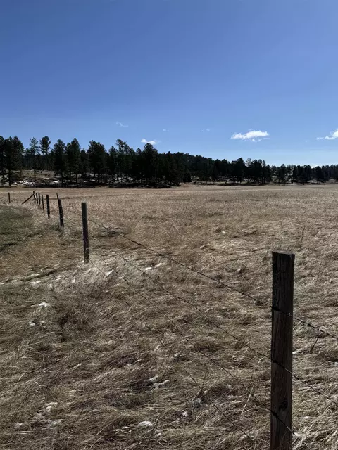 tbd 19 Danby Park Trl, Custer, SD 57730 photo 6