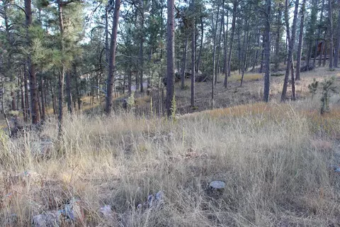 12063 Red Rock Ln, Custer, SD 57730 photo 2