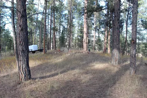 12063 Red Rock Ln, Custer, SD 57730 photo 15