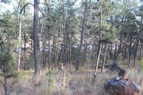 12063 Red Rock Ln, Custer, SD 57730 photo 17