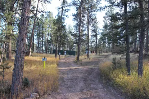 12063 Red Rock Ln, Custer, SD 57730 photo 3