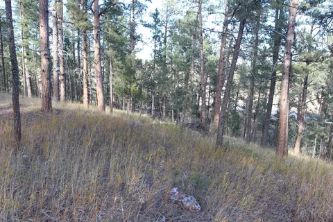 12063 Red Rock Ln, Custer, SD 57730 photo 16