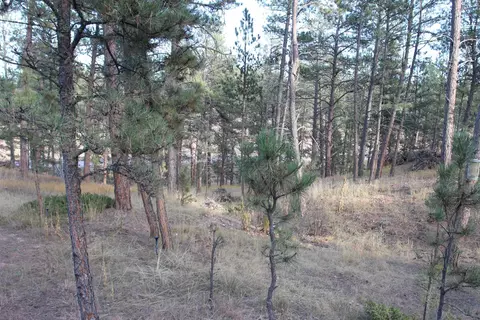 12063 Red Rock Ln, Custer, SD 57730 photo 19