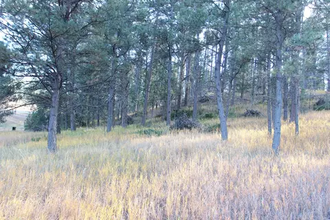 12063 Red Rock Ln, Custer, SD 57730