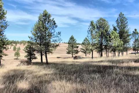lot3 6 Red Rock Ln, Pringle, SD 57773