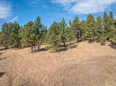 tbd Other, Keystone, SD 57745 photo 10