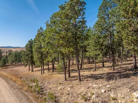 tbd Other, Keystone, SD 57745 photo 8