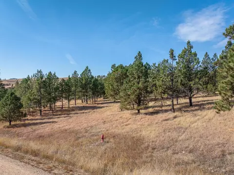 tbd Other, Keystone, SD 57745 photo 9