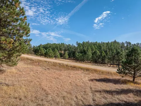 tbd Other, Keystone, SD 57745 photo 12