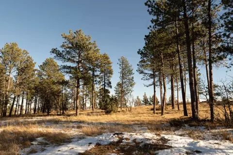 484 Eagle Cliff Dr, Spearfish, SD 57783 photo 6