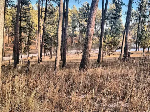 Tbd, Custer, SD 57730 photo 6