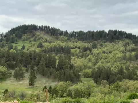 lot19 Summit Pass, Whitewood, SD 57793 photo 5
