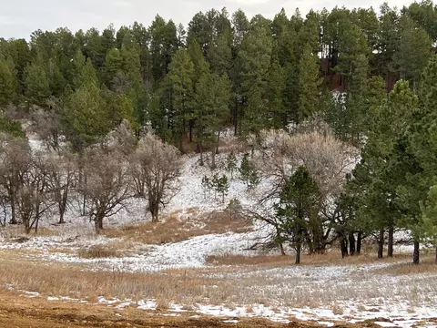 lot19 Summit Pass, Whitewood, SD 57793 photo 2