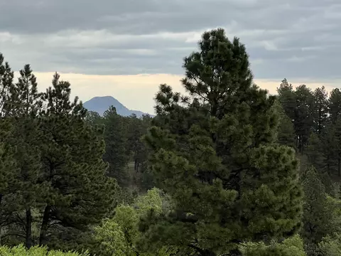 lot20 Summit Pass, Whitewood, SD 57793