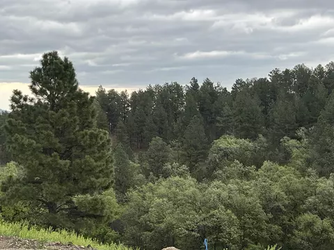 lot20 Summit Pass, Whitewood, SD 57793 photo 9