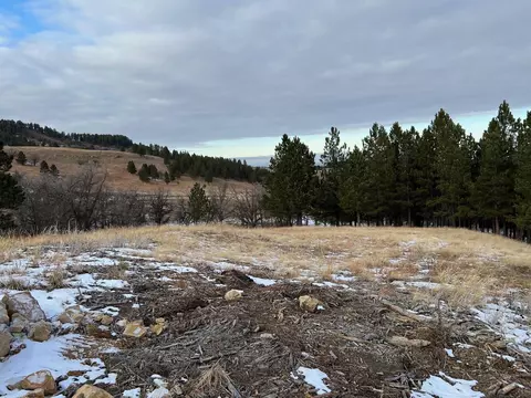 lot29 Summit Pass, Whitewood, SD 57793 photo 4