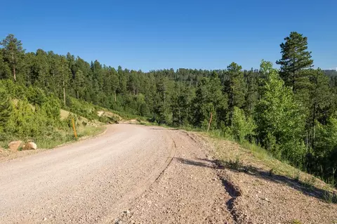 lot113 Paradise Gulch Loop, Lead, SD 57754 photo 24