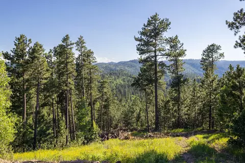lot114 Paradise Gulch Loop, Lead, SD 57754 photo 23