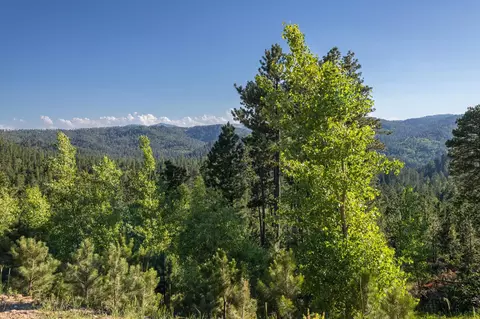 lot114 Paradise Gulch Loop, Lead, SD 57754 photo 26