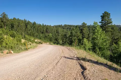 lot116 Paradise Gulch Loop, Lead, SD 57754 photo 2