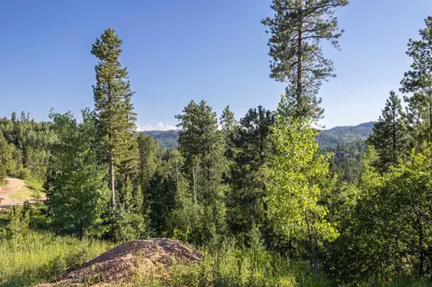 lot124 Paradise Gulch Loop, Lead, SD 57754 photo 29
