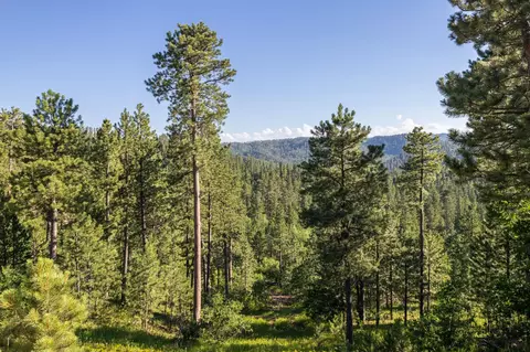 lot125 Paradise Gulch Loop, Lead, SD 57754 photo 27
