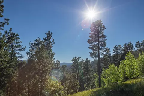lot132 Paradise Gulch Loop, Lead, SD 57754 photo 26
