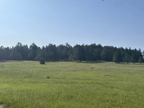 lot13 Harriett Ward Rd, Custer, SD 57730 photo 5