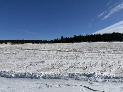 lot13 Harriett Ward Rd, Custer, SD 57730 photo 19