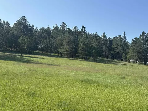 lot13 Harriett Ward Rd, Custer, SD 57730 photo 10