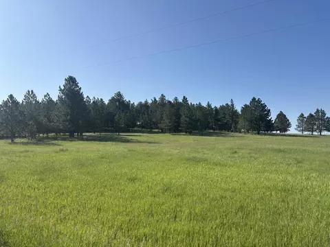 lot13 Harriett Ward Rd, Custer, SD 57730 photo 4