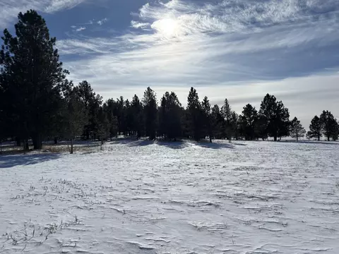 lot13 Harriett Ward Rd, Custer, SD 57730 photo 27