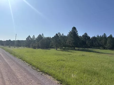 lot13 Harriett Ward Rd, Custer, SD 57730 photo 17